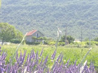 Maison à la campagne - L'Escale (04160)