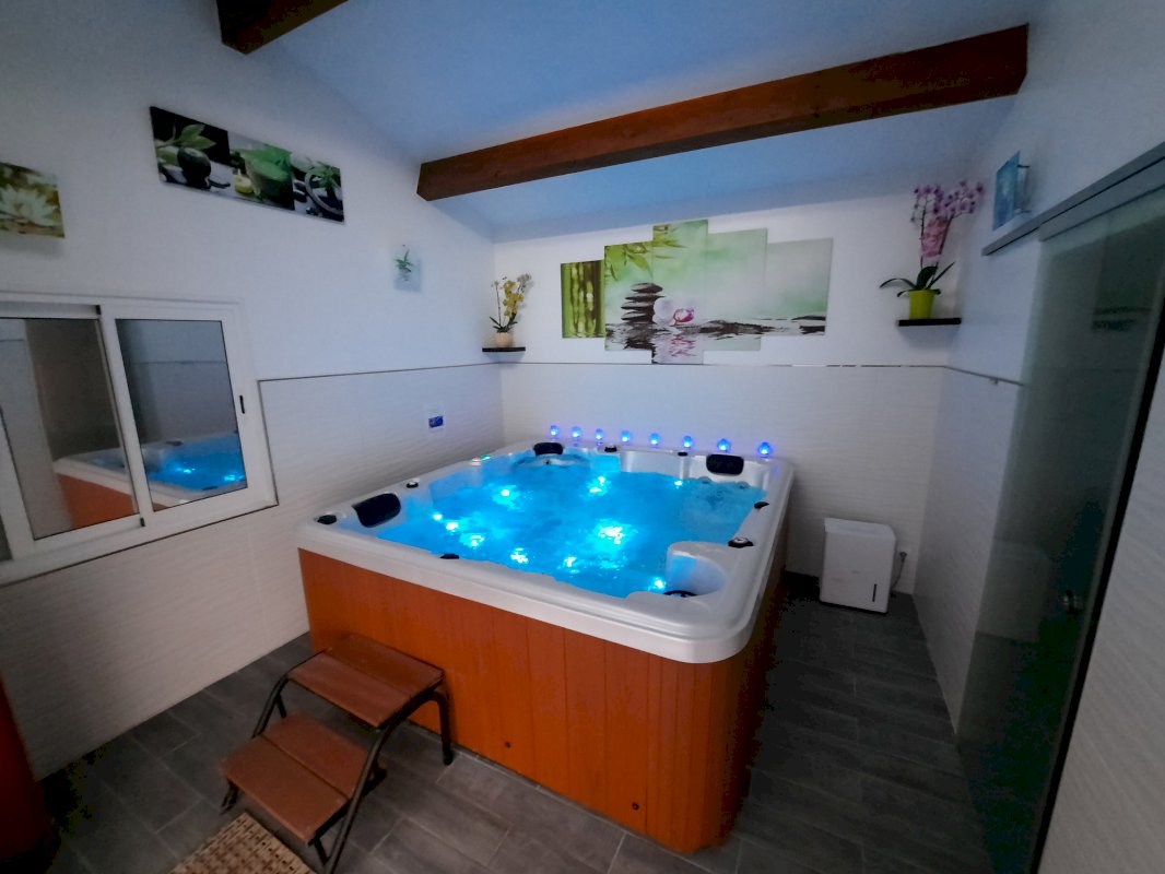 Villa avec piscine couverte, jacuzzi, sauna - Photo 13 - Plan-d'Aups-Sainte-Baume