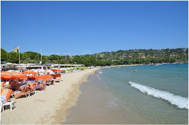 Appartement en Rez de jardin Golfe de Saint Tropez Port Cogolin - Photo 15 - Cogolin