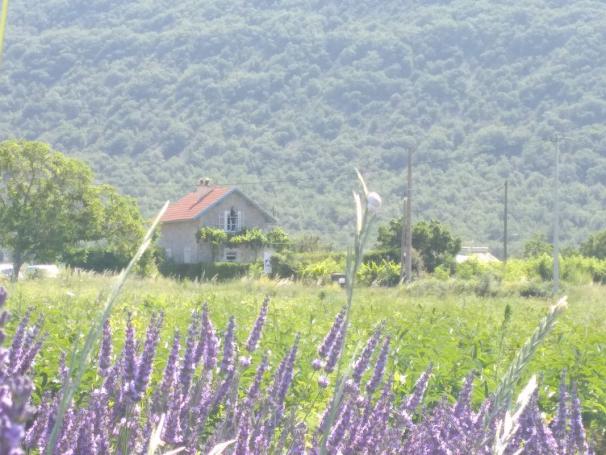 Maison à la campagne - Photo 1 - L'Escale