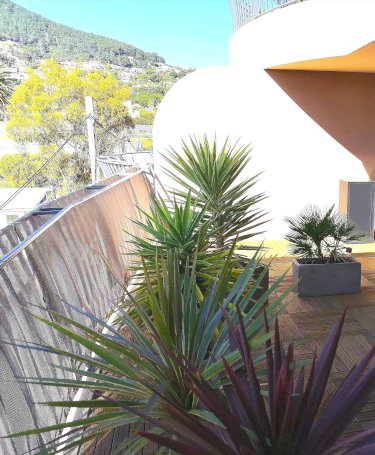 TRES BEL APPARTEMENT TYPE T2 DE 35 M2 + TERRASSE 28 M2 - Photo 2 - Carqueiranne