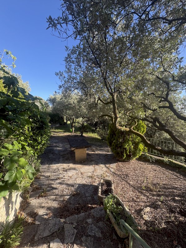 MAISON PROVENCALE - Photo 3 - Vacqueyras