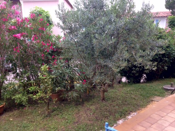 Appartement en Rez de jardin Golfe de Saint Tropez Port Cogolin - Photo 4 - Cogolin