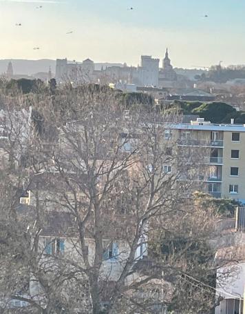 T3 rénové avec vue imprenable - Photo 5 - Avignon