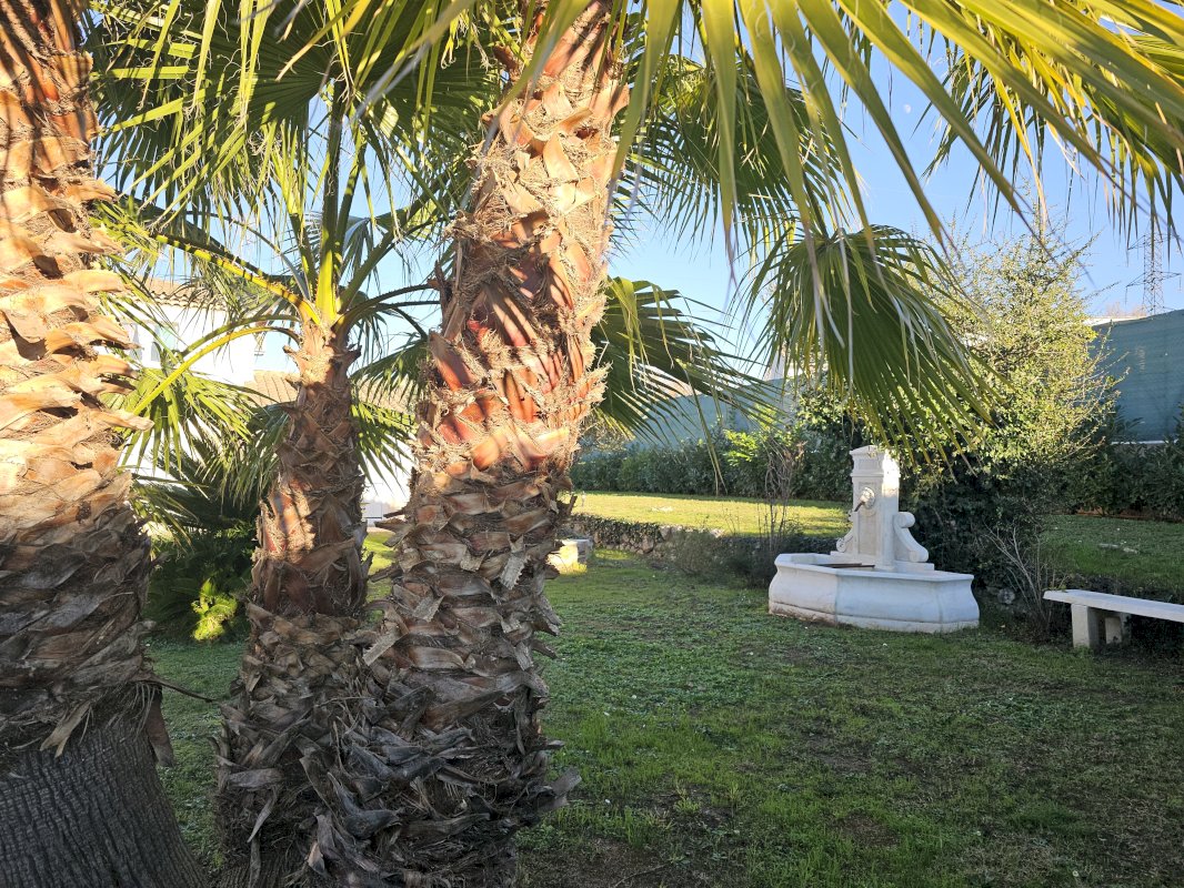 Vente d'une très belle propriété - Photo 8 - Mouans-Sartoux